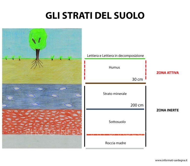 Gli Strati Del Suolo Informati Sardegna