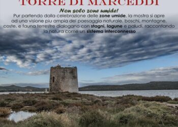 Natura Condivisa alla Torre di Marceddì