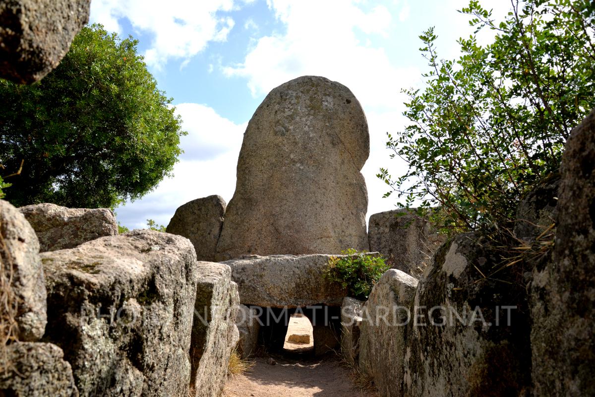 L'interno della tomba, Dorgali