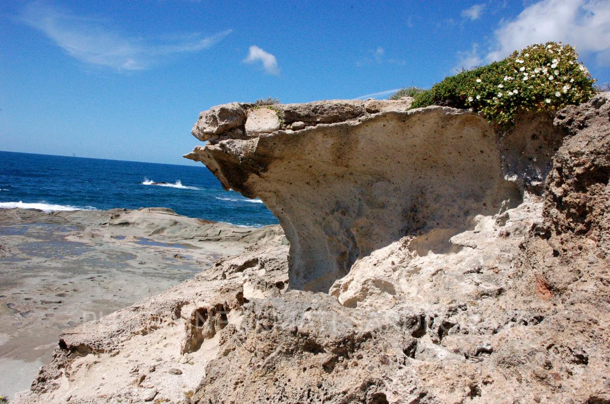 Rocce di Sardegna. Capo Marrargiu, Bosa