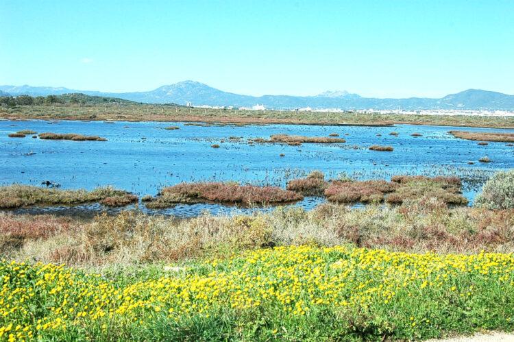Parco Fluviale di Padrongianus, Olbia