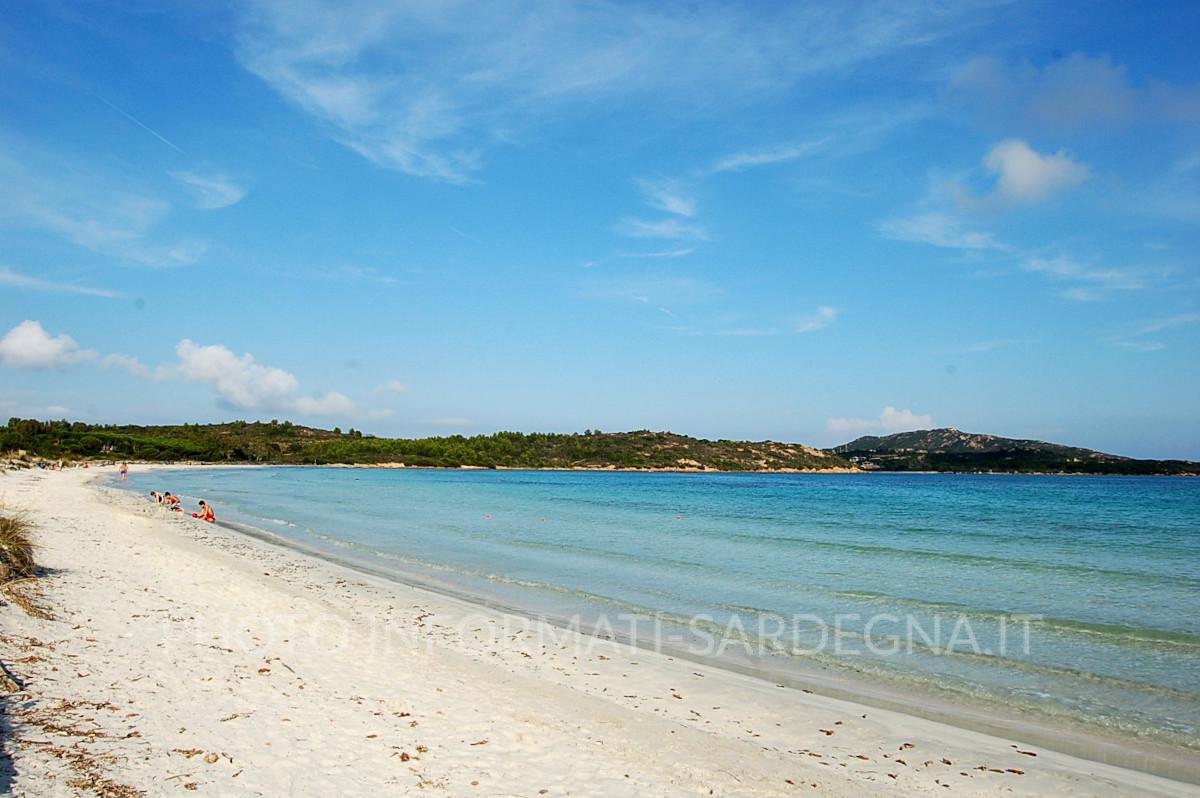 Spiagge di San Teodoro: Cala Brandinchi