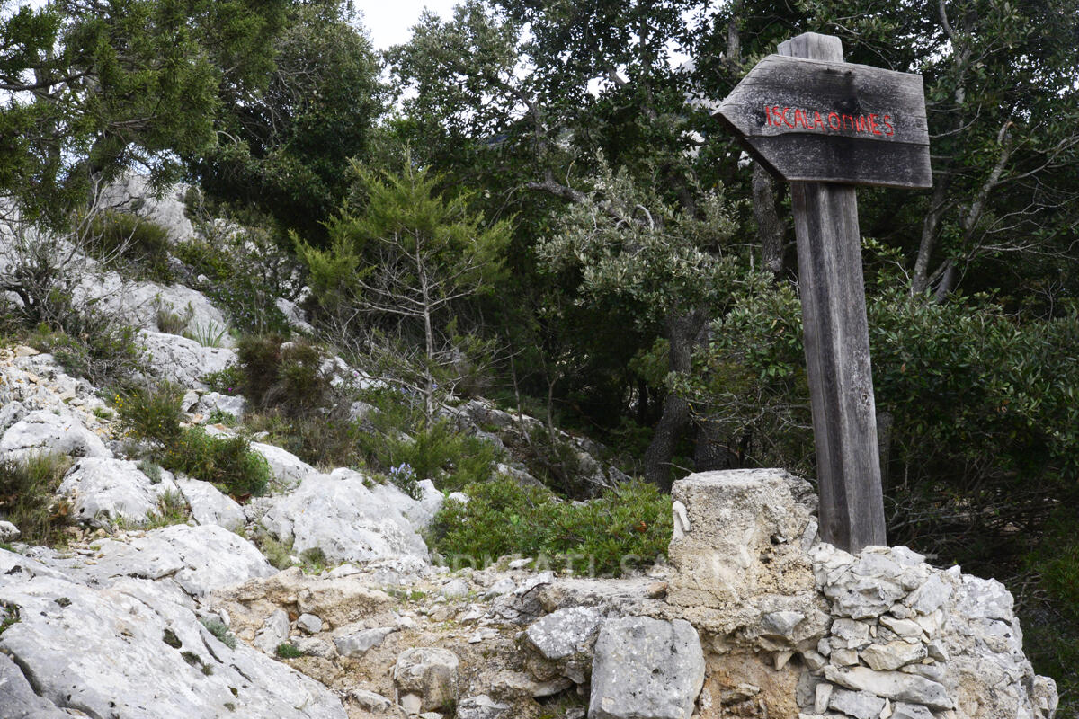 Iscala 'e Omines, cartellonistica sul versante di Gonone