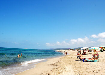 Li Junchi e Li Mindi