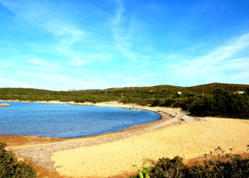 Marinedda