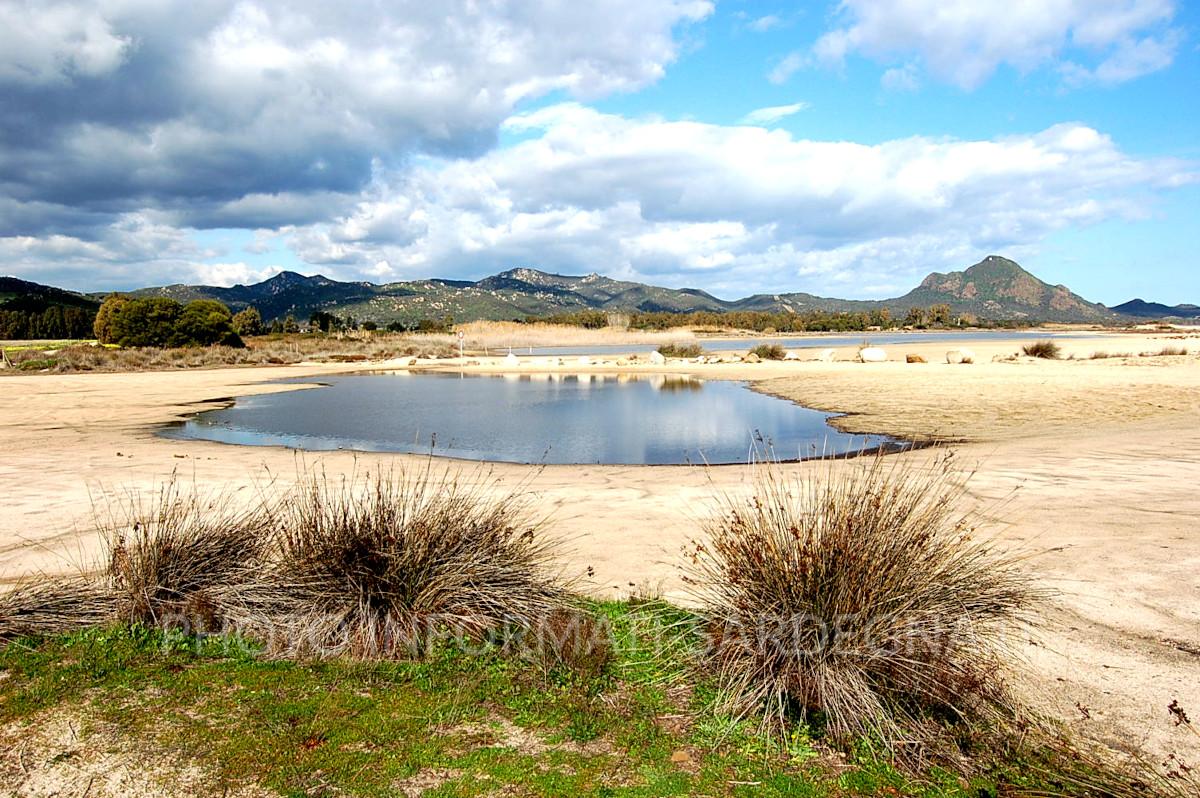 Stagno del retrospiaggia