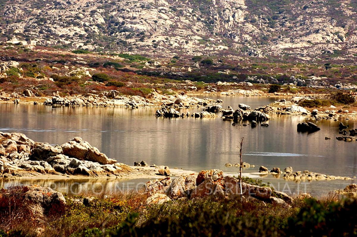 Parco Nazionale & Area Marina Protetta dell'Asinara. Porto Torres