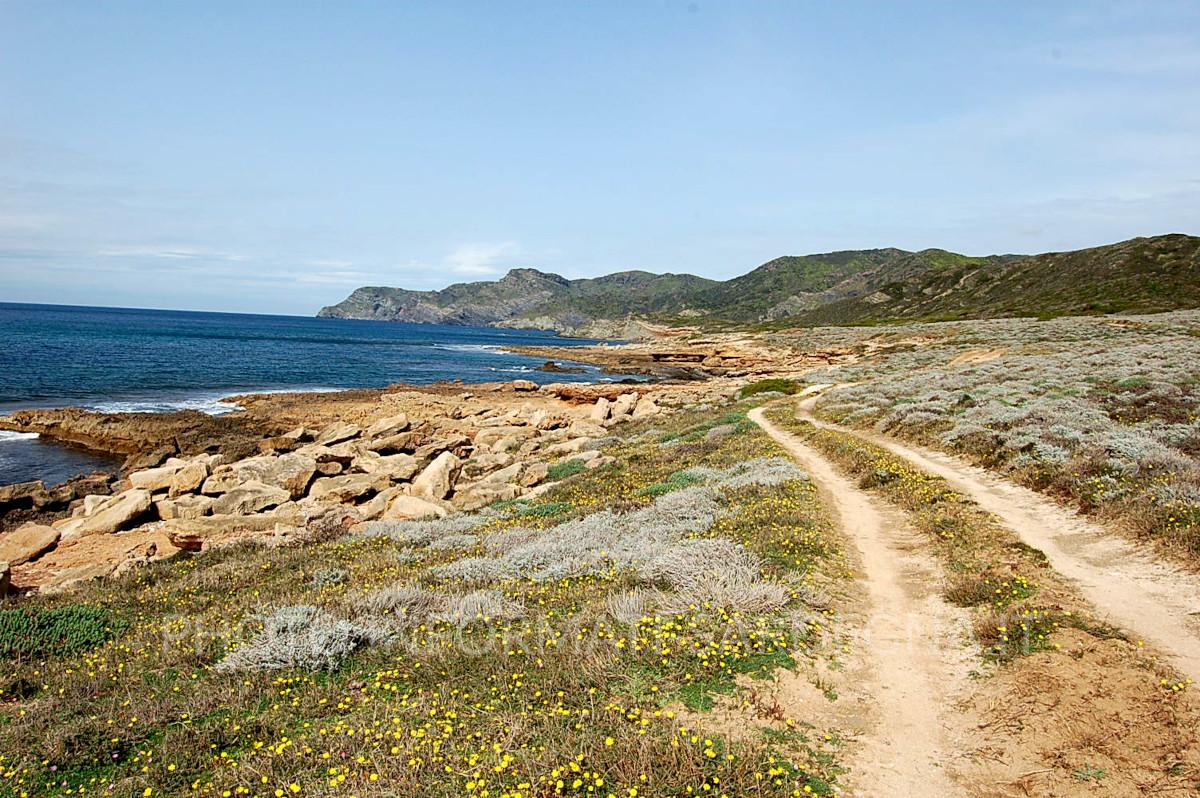 Il paesaggio. Sassari