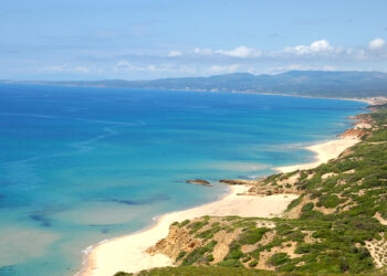 Costa Verde, Arbus