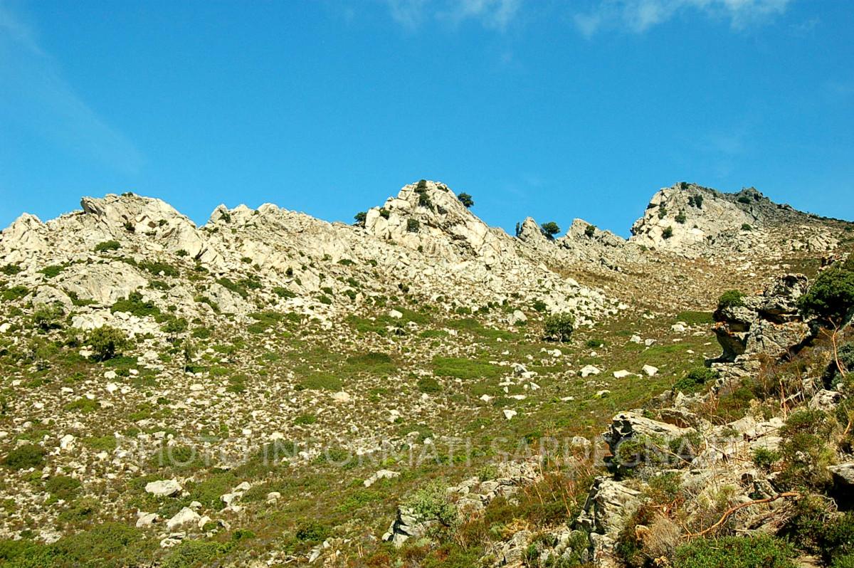 Monte Senes, Irgoli