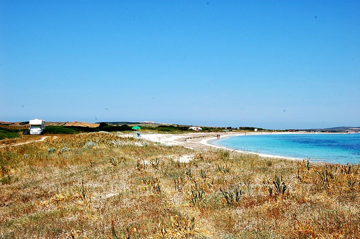 Il retrospiaggia dunale
