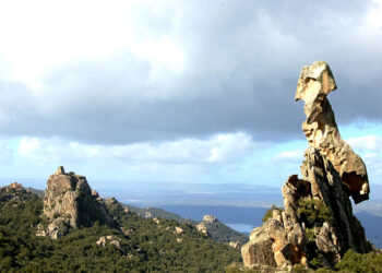 Sa Crabissa, Austis