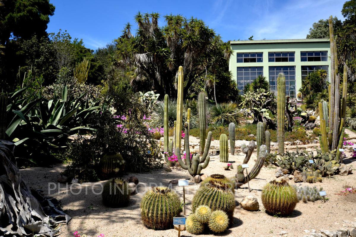 Orto Botanico di Cagliari