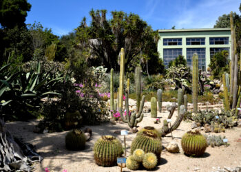 Piante del giardino scientifico