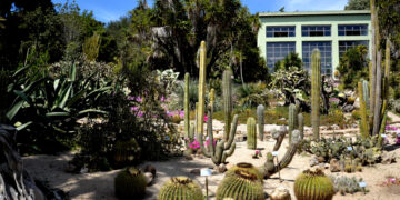 Piante del giardino scientifico