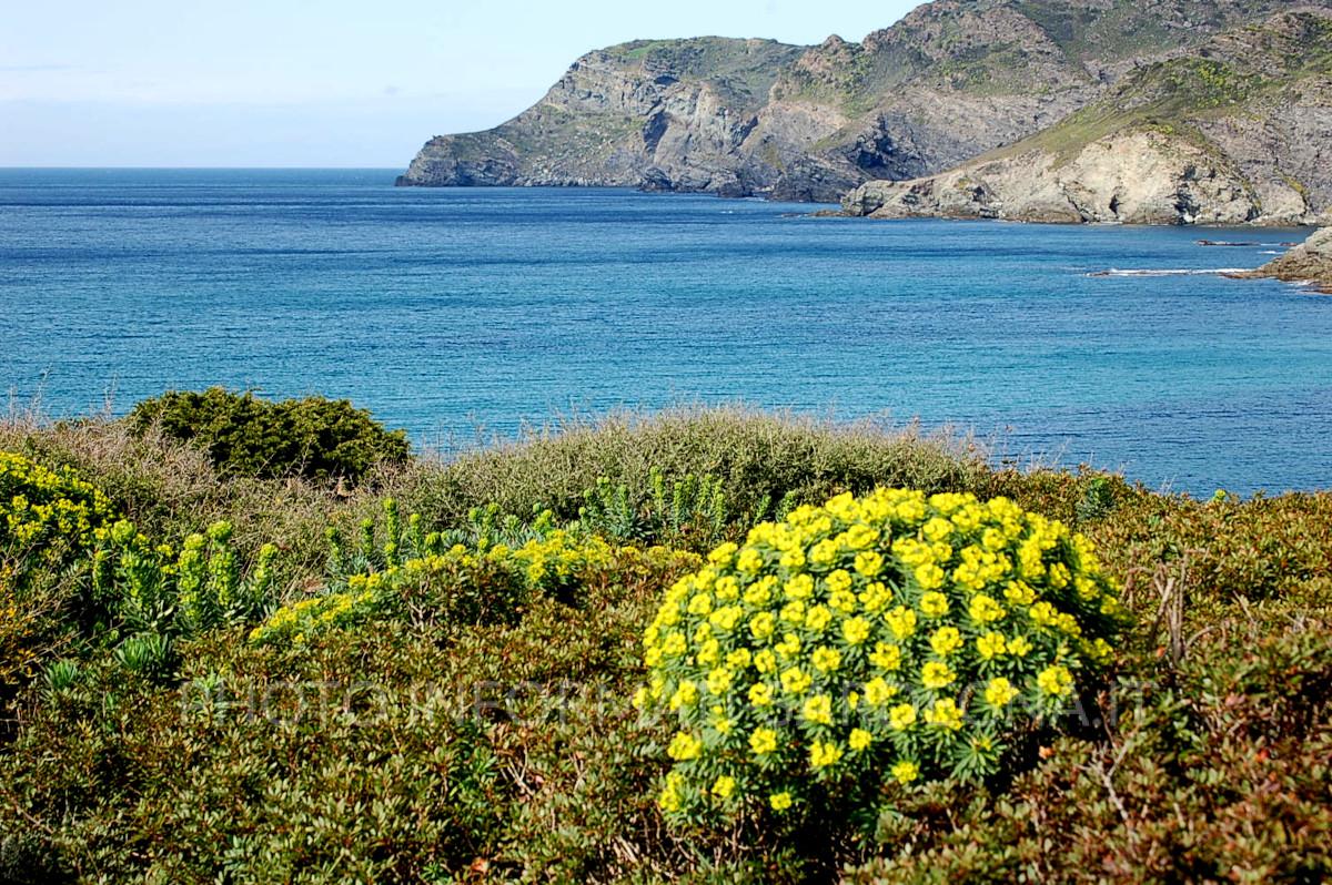 Il paesaggio. Sassari