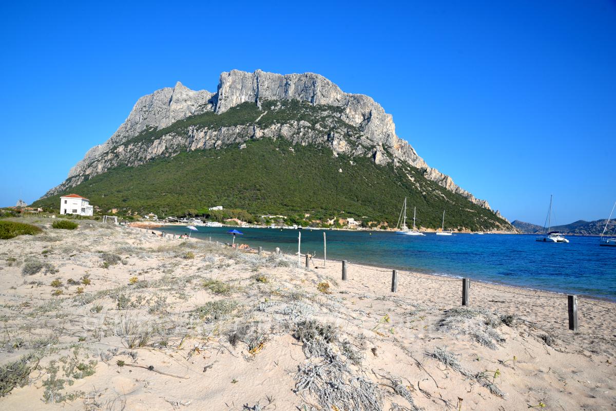 Spiaggia Hermaea, Tavolara