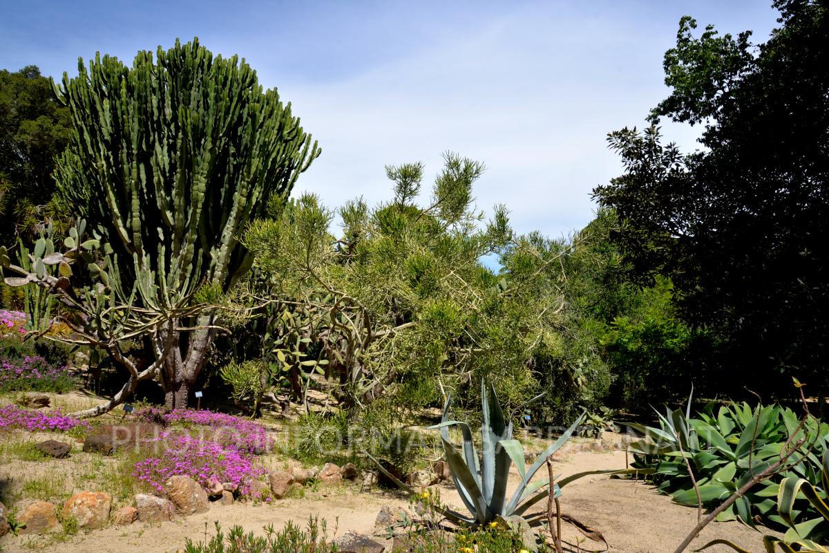 Orto botanico di Cagliari 