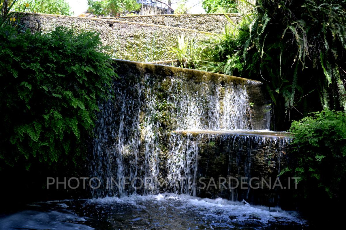 Orto botanico di Cagliari 