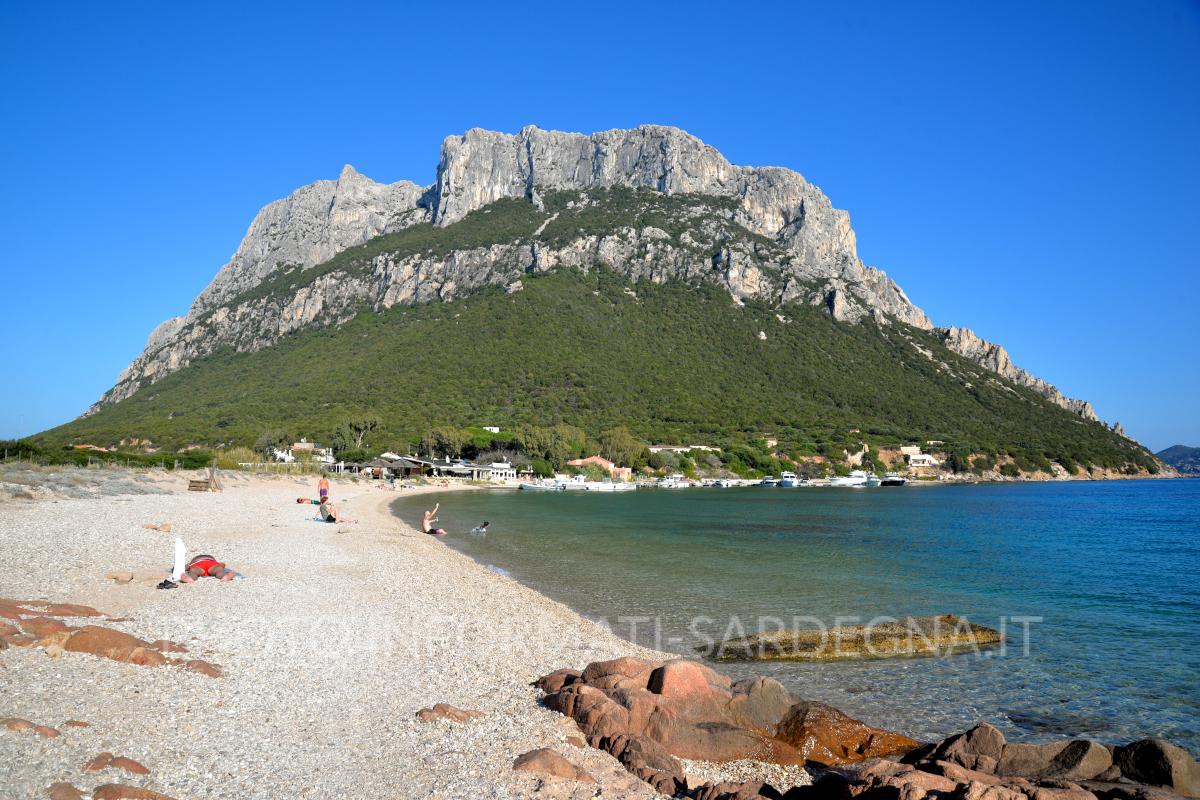 Spiaggia Hermaea, Tavolara