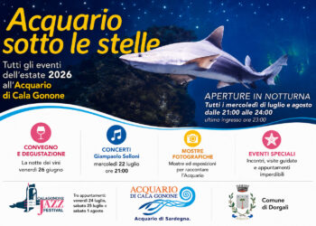 Acquario sotto le stelle 2026