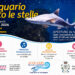 Acquario sotto le stelle 2026