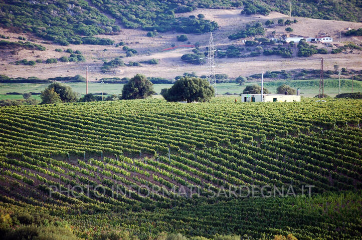 Misure in agricoltura 