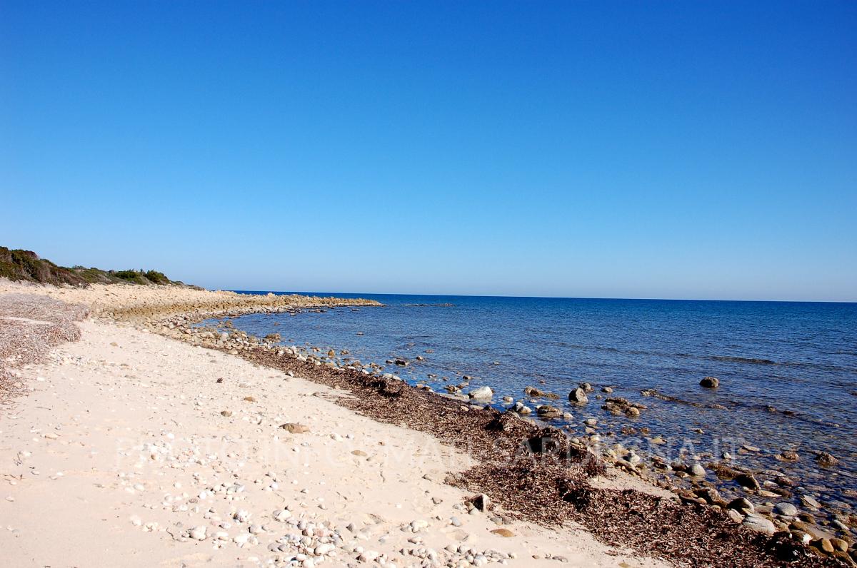 spiaggia di S’Aliterru