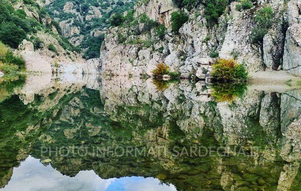 Foresta di Corongia: patrimonio naturalistico di Gadoni