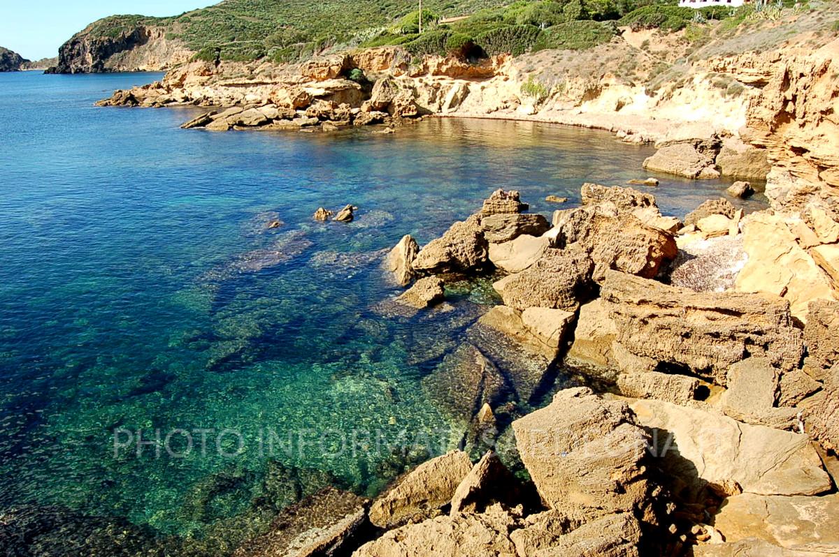 Capo Pecora, Arbus