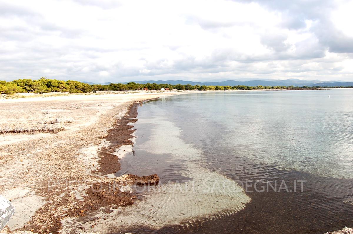 Spiaggia di Porto Pino