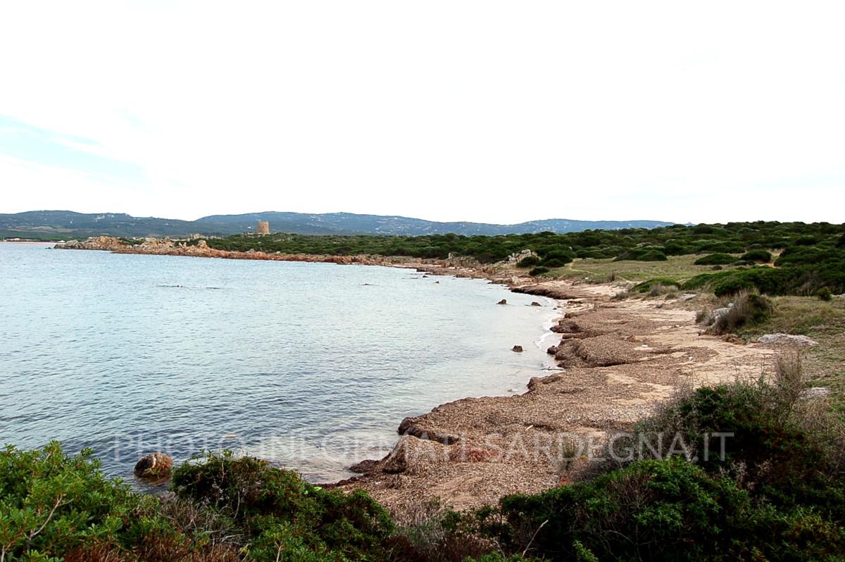 Torre Vignola e San Silverio