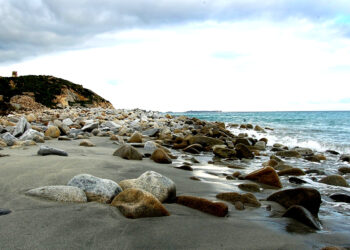 Cala Burroni: una cala selvaggia tra scogliere e mare profondo