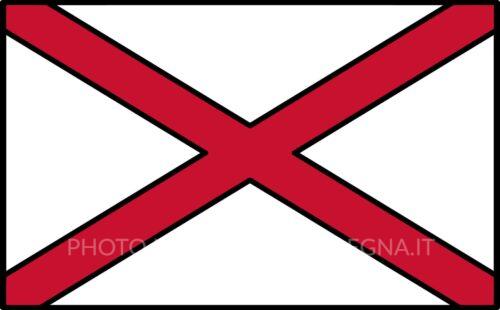 Bandiera Victor - Assistenza generale