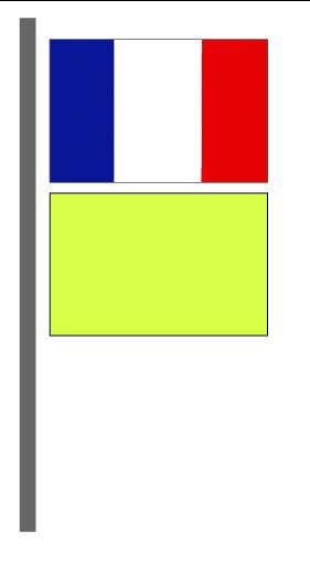 Bandiera di cortesia