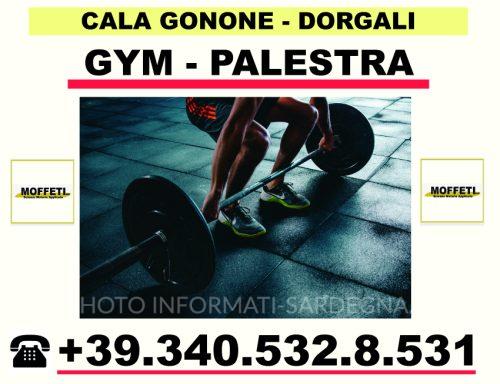 Palestra Dorgali