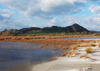 Berchida, il grande stagno di Sa Salinedda. Siniscola.