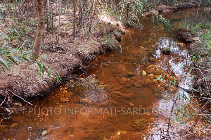 Le acque trasparenti e pulite del Rio Biderosa che immette sull'omonimo stagno. Orosei