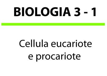 Cellula eucariote e procariote