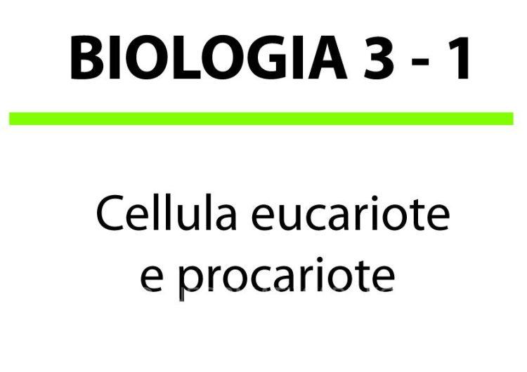 Cellula eucariote e procariote