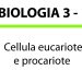 Cellula eucariote e procariote