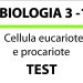 Cellula eucariote e procariote, test