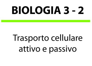 Trasporto cellulare
