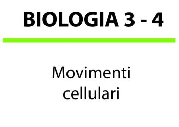 Movimento cellulare