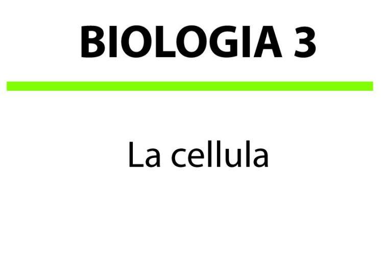 La cellula