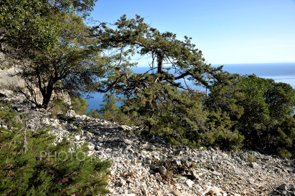 Cala Biriola, Baunei
