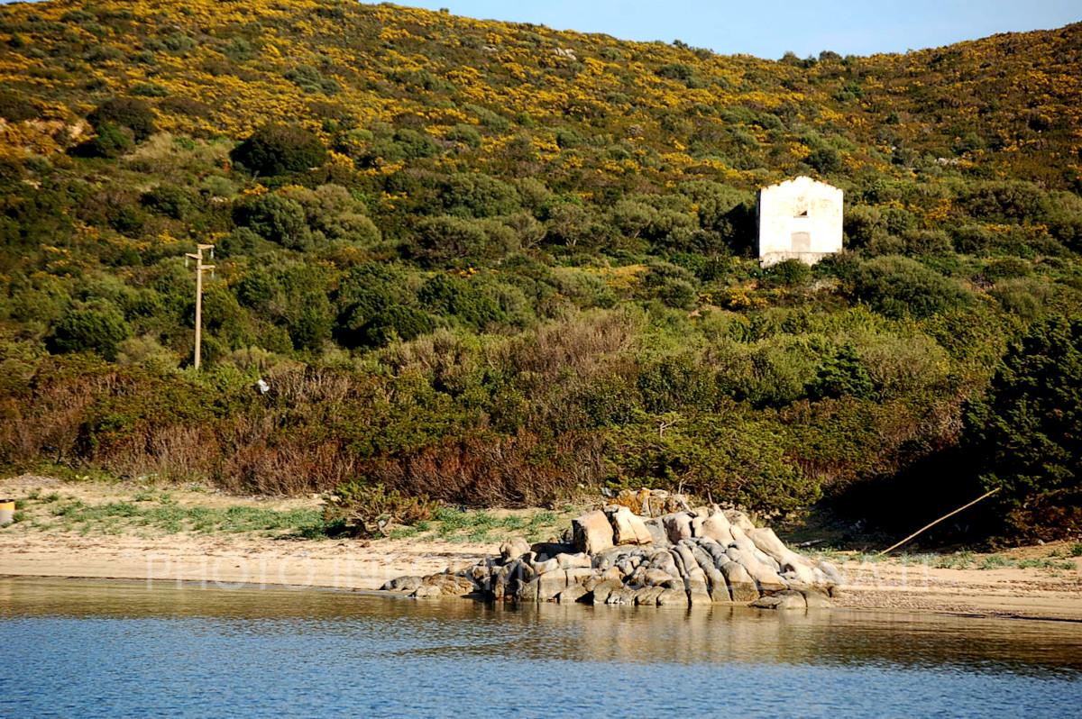 Marinedda