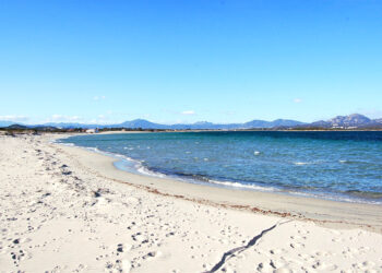 Le Saline di Olbia: spiaggia selvaggia tra sabbia e maestrale