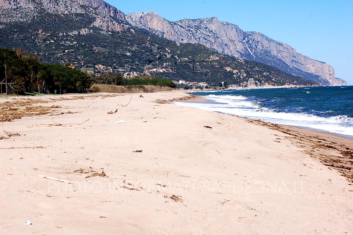 Lido del Sole