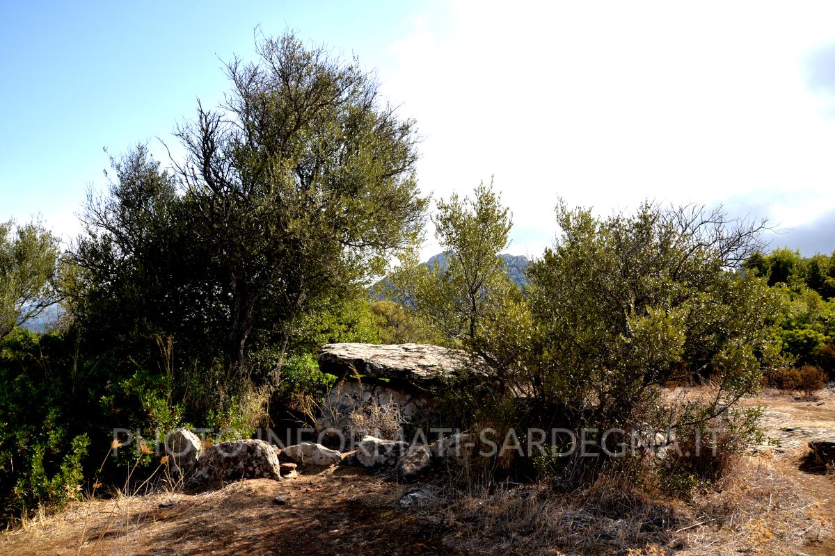 Dolmen di Motorra, Dorgali. La struttura